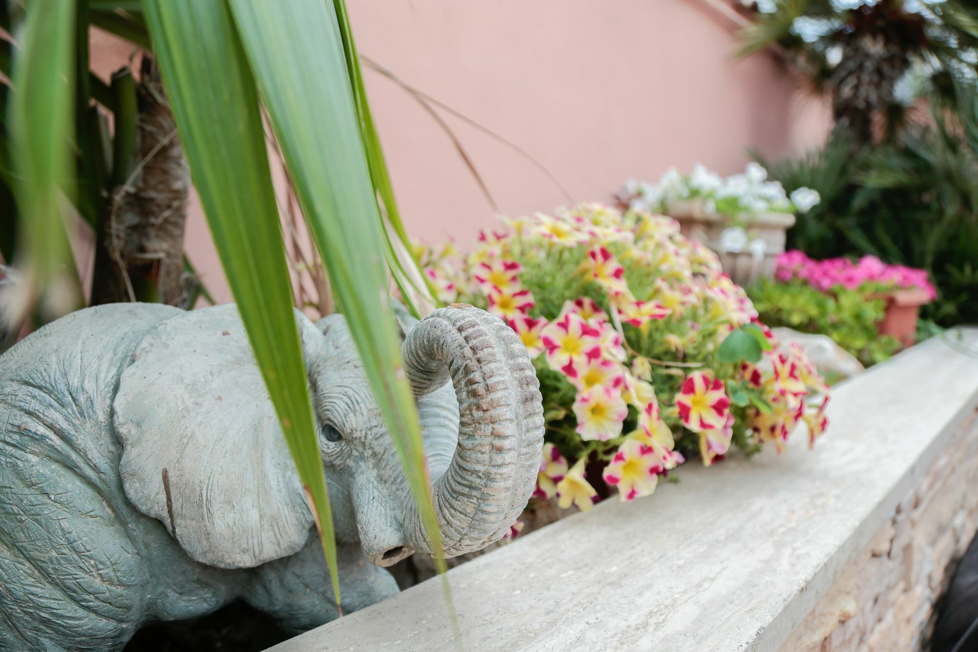 Erasi Guest house Fiumicino